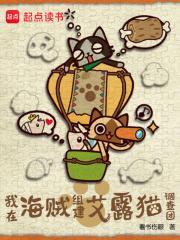 我在海贼开发app全文