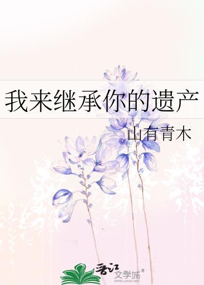 我继承了你的衣柜