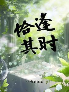 恰逢其时宝书网