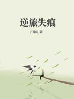 逆旅歌词